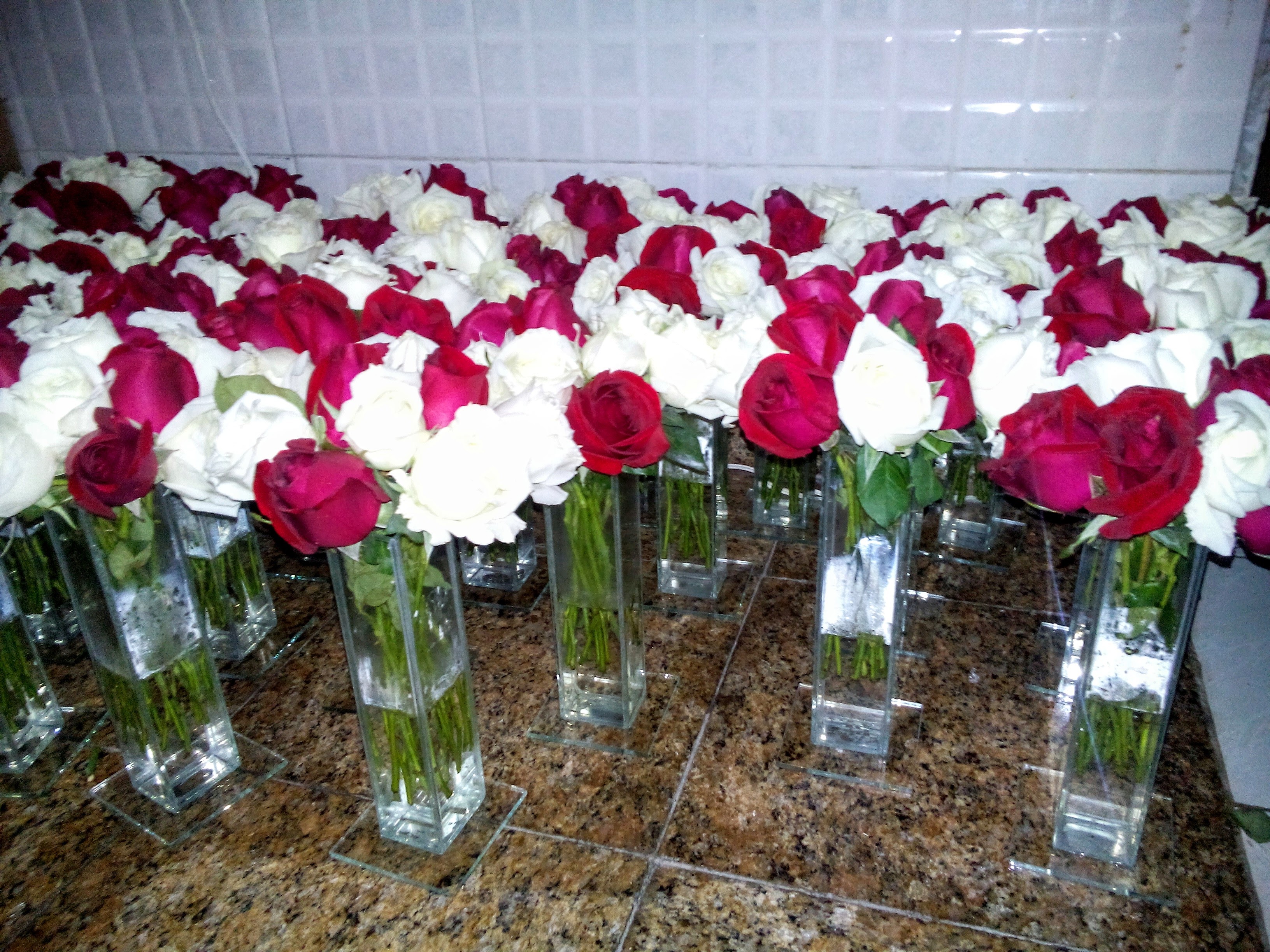 DSC_0005 - Copia - Copia.jpg